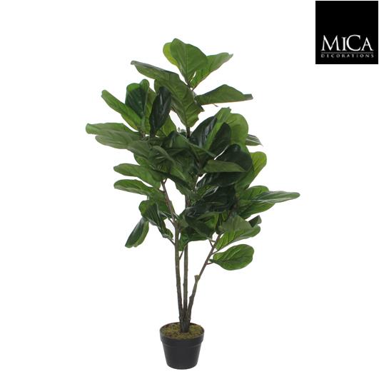 Ficus Lyrata in plastic pot green - h120xd60cm Ficus_Lyrata_120