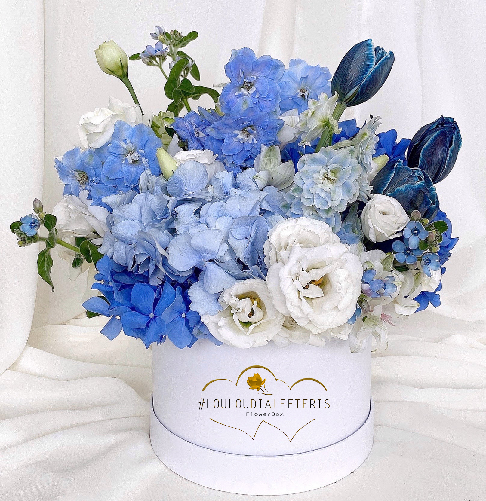 flowerbox_boy flowerbox_boy